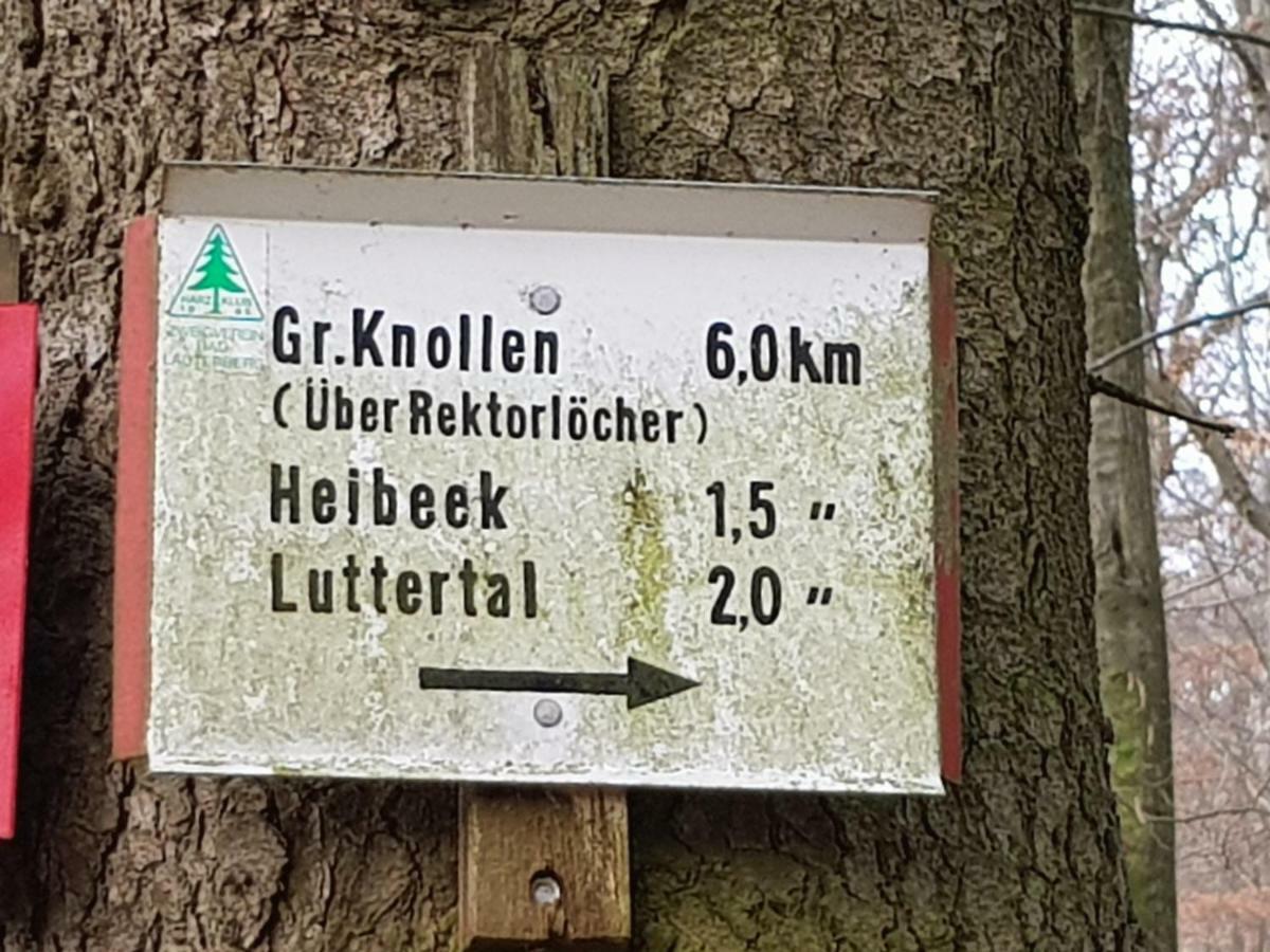 Ferienwohnung "Hagebutze" Mit Sauna Und Schwimmbad Bad Lauterberg Exterior foto